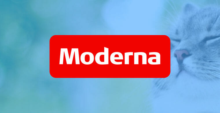 moderna omslag kattförsäkring