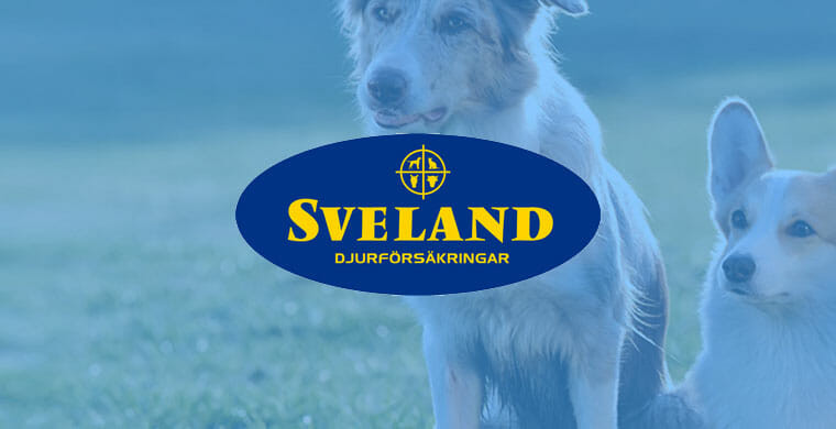sveland omslagsbild hundförsäkring