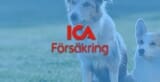 ICA Hundförsäkring